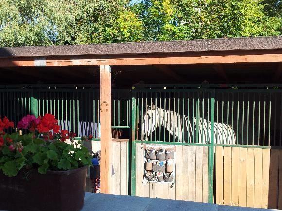 Farm Stay Nh Stables Nyrany Exterior foto